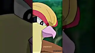 Ash Meet PIDGEOT.🦅🤩 Pokemon [EDIT/AMV]