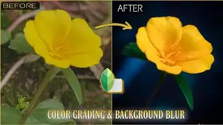 MOODY FLOWER EDITING TUTORIAL 🔥||SNAPSEED COLOUR GRADING🌈 BACKGROUND BLUR|| MOBILE EDITING🔥#snapseed