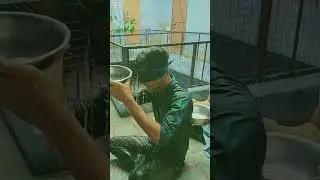 Water Drop Challenge Game 