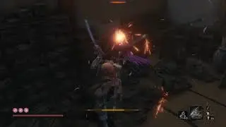 Sekiro test technique ultime (ultimate technical test)