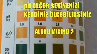 HOW CAN I TEST ALKALI?