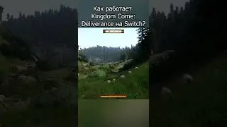 Как работает Kingdom Come Deliverance на Nintendo Switch?