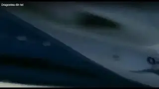 Dragostea din tei