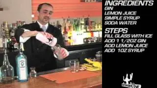 Gin Fizz Cocktail Recipe