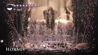 Beating Hornet until Hollow Knight: Silksong comes out.Day 863.