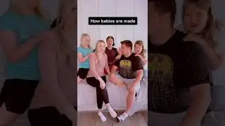How babies are made... I think