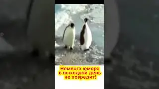 Давайте улыбнёмся 😂😂😂￼