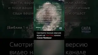Находите сходства?