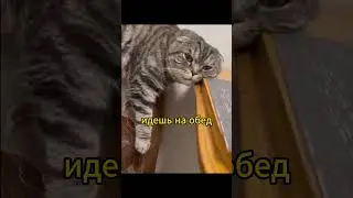 про выгорание/жизнерадостным не смотреть