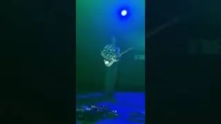 перемотка - старое кино. Новосибирск, 14.10.24