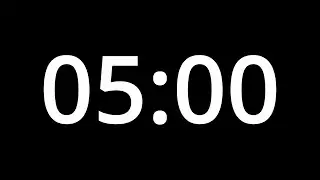 5 MINUTE TIMER - No Sound - Full HD 1080p - COUNTDOWN - 300 SECOND TIMER