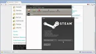 L.G.C. |How-To| -- Installing Steam On Linux