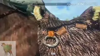 MOON WALKING HORSE? Hmmmm cringy..