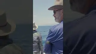 No talking until the fish hits the boat! #fishingaustralia #fishing #usa #bass #greatbarrierreef