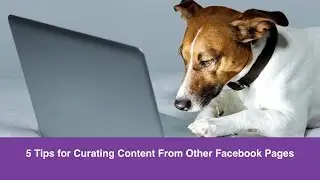 5 Tips for Curating Content From Other Facebook Pages
