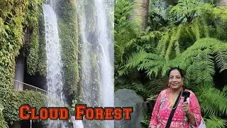 🏞️ CLOUD FOREST IN GARDENS BY THE BAY, AT SINGAPORE....SINGAPORE TOUR, Part - 3