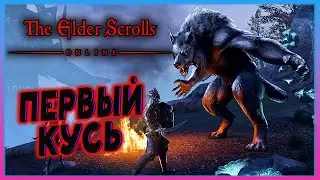 The Elder Scrolls online - Мои приключения в TESO #5