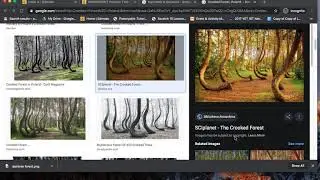 How to do slides presentation assignment in Edmodo