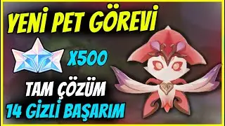 YENİ PET GÖREVİ | 