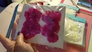 JoAnn's Haul