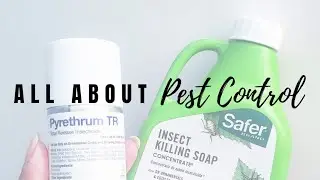 All About Pest Control