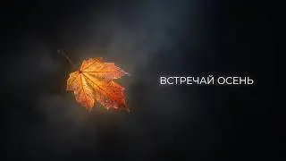 НОЧНАЯ ПРОГУЛКА 
