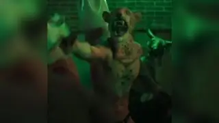 🎬 Toy Boy 