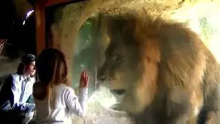 Ух если-бы не стикло