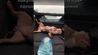 Тот, кто больше всех отдохнул 😄