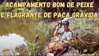 ACAMPAMENTO NO RIO DO PEIXE E FLAGRANTE DE PACA GRÁVIDA