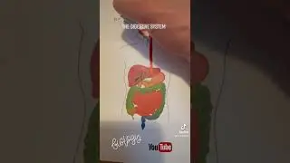 Follow me on TikTok for short revision tips