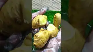 peeling and cutting ginger #peeling #ginger #cuttingskills #foodshorts #food #vegan #vegetables