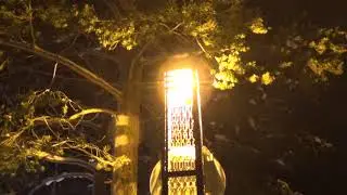 00035