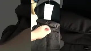 коляска трансформер teddy bear