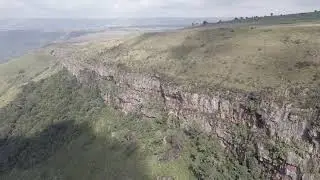 Whitebacked Vultures in Africa