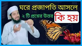 ঘরে প্রজাপতি আসলে কি হয় ইসলাম কি বলে | ঘরে প্রজাপতি ঢুকলে কি হয়| projapoti | Study tips