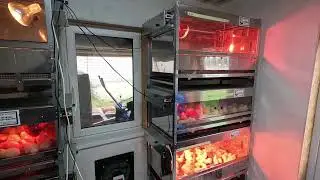 Брудера Дмитрия Бочарова и работа в удовольствие
