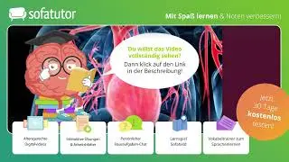 Blutkreislauf einfach erklärt – Definition & Beschreibung
