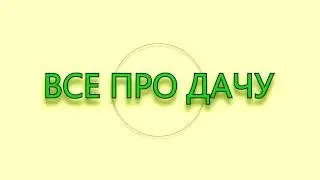 Видео-канал  -  