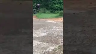 эндуро и эндурак