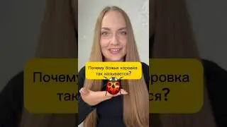 🐞 А вы знали? 