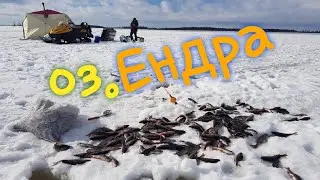 озеро ендра. ХМАО.