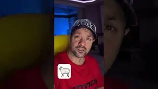 Не будь овцой!