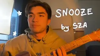 snooze by sza 😴 (acoustic cover)
