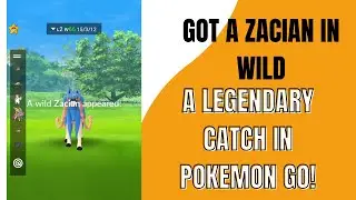 Got a zacian in wild! 🤯🥵#pokemongo