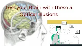 Test your Brain with these 5 Optical Illusions to combine fun and learning -2@Y2K edusol ​