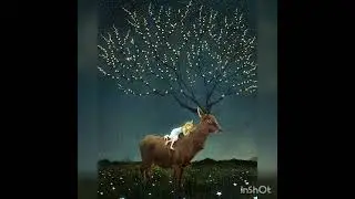 Медитация для детей
