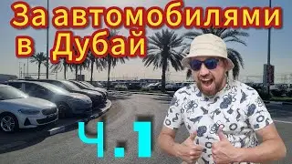 Поездка в Дубай за автомобилями. 1ая часть. #automobile #dubai #car