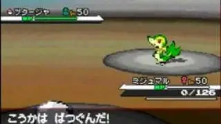 Pokemon Black & White Teasers