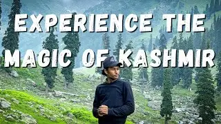 A BUDGET TRIP TO KASHMIR FROM LPU PUNJAB | PART-1 | MALAYALAM